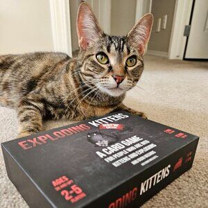 Exploding Kittens - NSFW Edition - Board Game - Complete‎